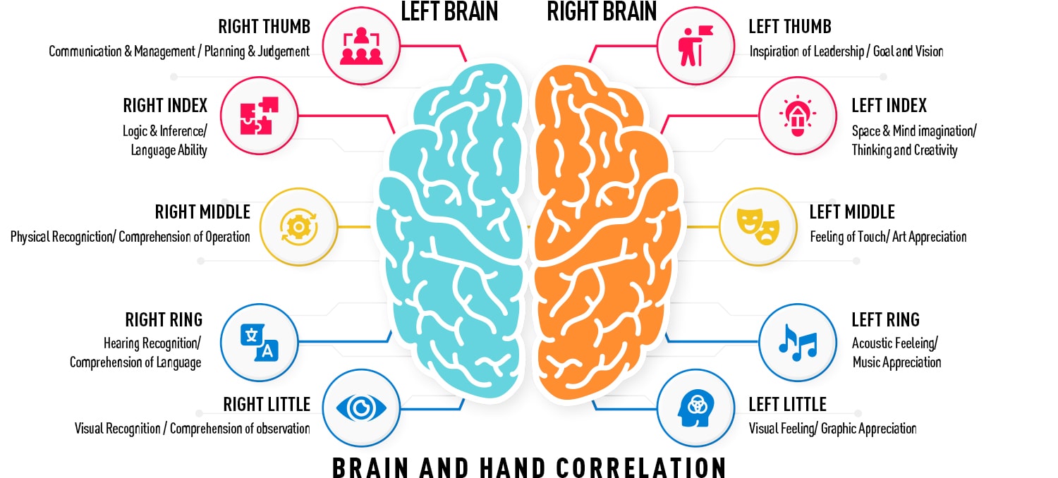 Brain and Hand Correlation 2